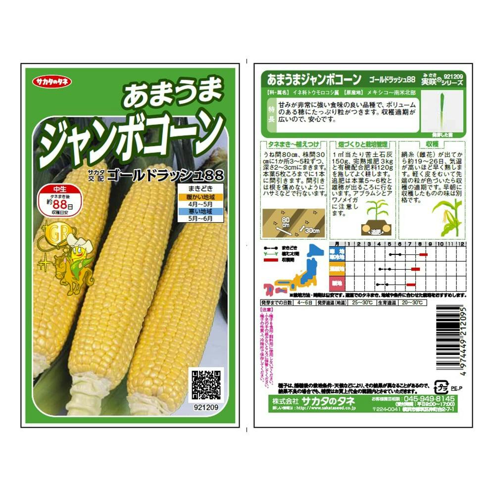 サカタのタネ 野菜の種 ゴールドラッシュ88あまうまジャンボコーン