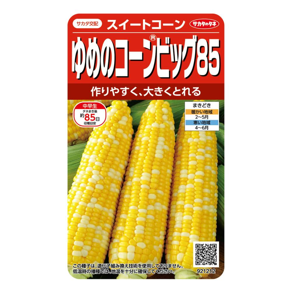 とうろもこし！ トウモロコシ F1あま～いコーン 徳用袋 | 花＆グリーン 通販