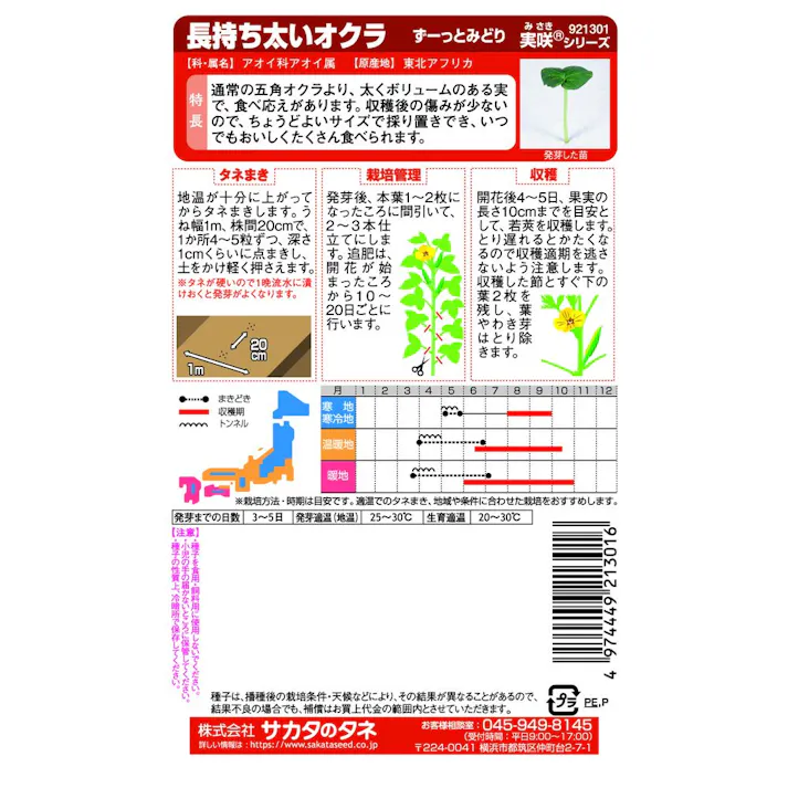 長持ち太いオクラ ずーっとみどり