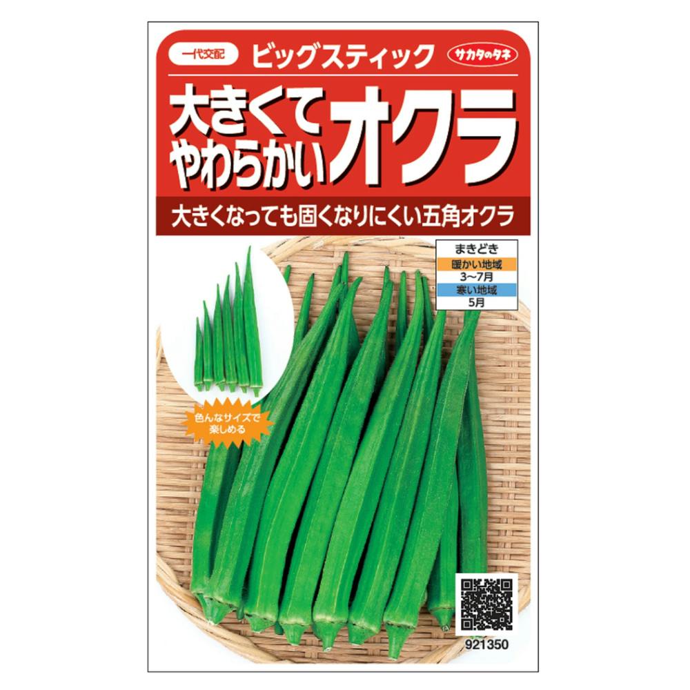 Amazon | サカタのタネ 実咲野菜5030 春どり短大根 つくし春
