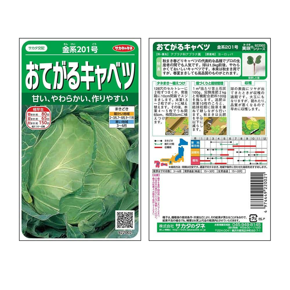 キャベツ　20玉　15 ボリュームたっぷり大玉キャベツ！ 2玉入り 約4㎏：徳島県産のその他
