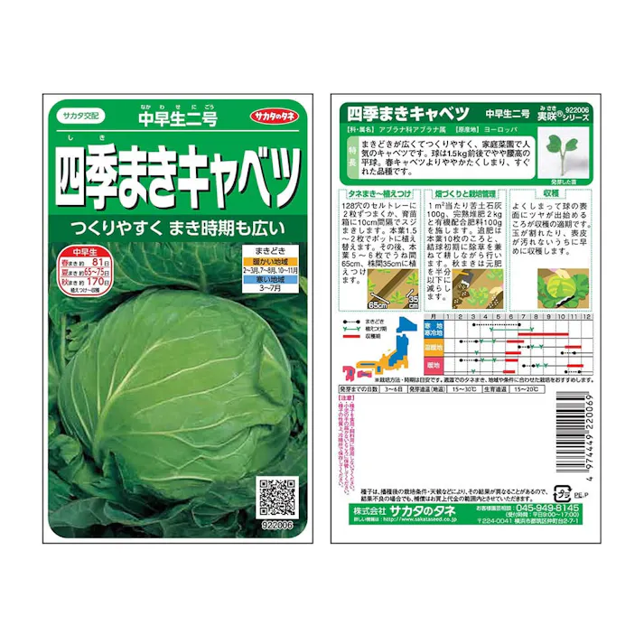 中早生二号四季まきキャベツ