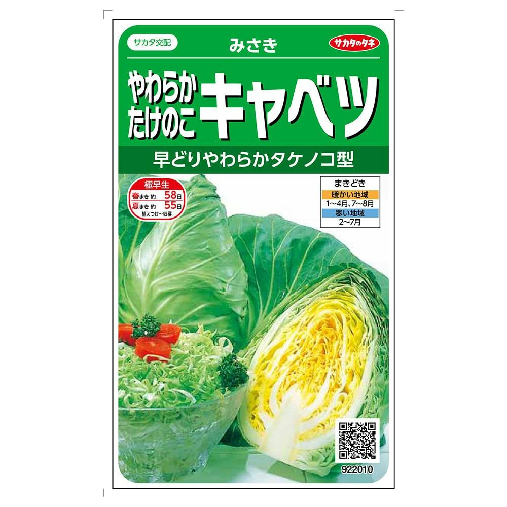 【デッキ販売】半額キャベツ みさきキャベツSA | 花＆グリーン 通販 | ホームセンターのカインズ