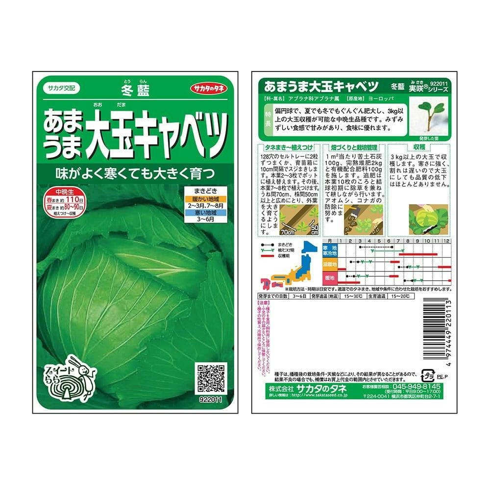 キャベツ　20玉 07 キャベツ 20玉 07 野菜