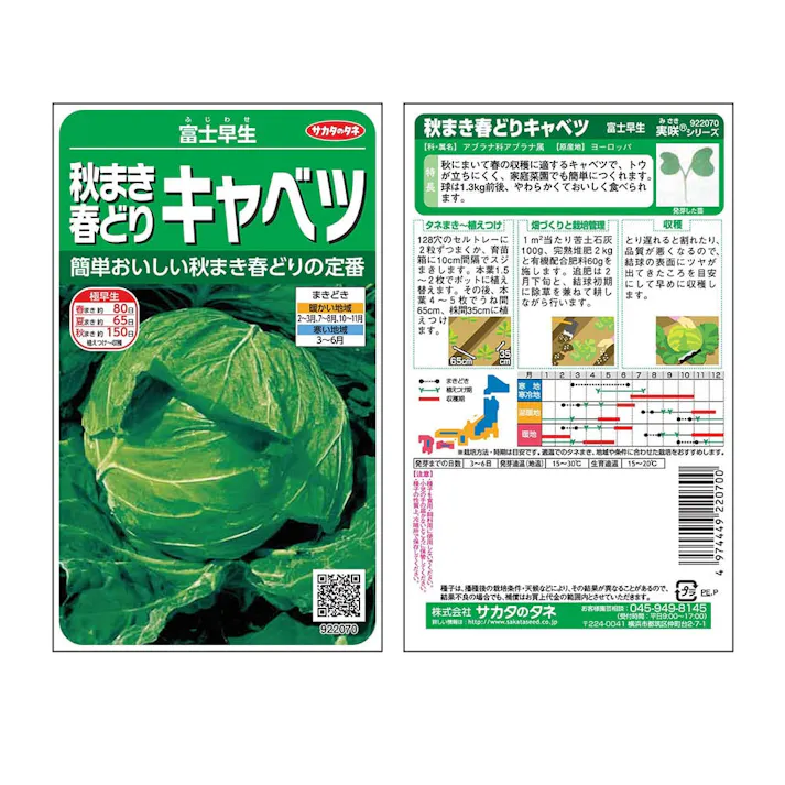 富士早生 秋まき春どりキャベツ