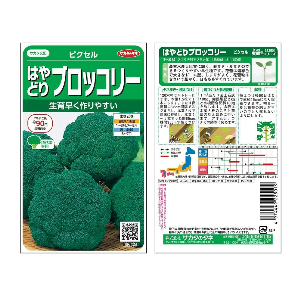 ピクセルブロッコリー | 花＆グリーン 通販 | ホームセンターのカインズ