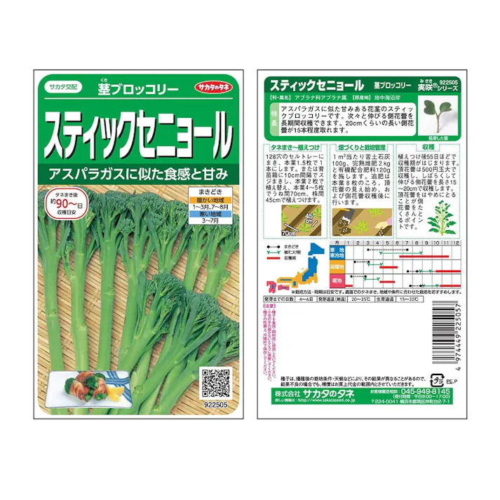 茎ブロッコリースティックセニョール