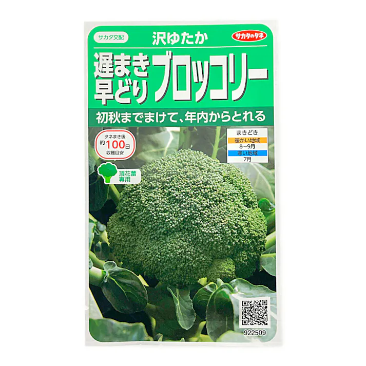 遅まき早どりブロッコリー 沢ゆたか