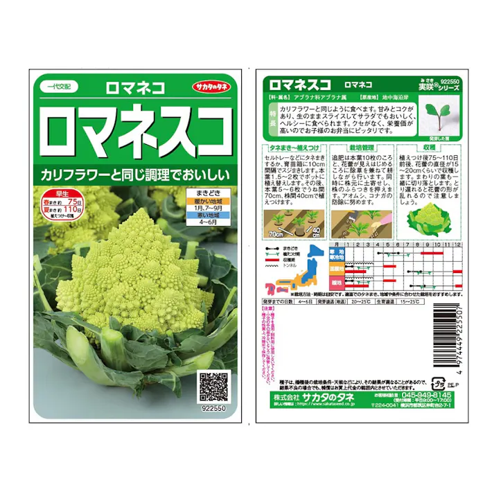 ロマネスコ