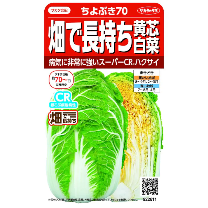 ハクサイ 畑で長持ち黄芯ちよぶき70