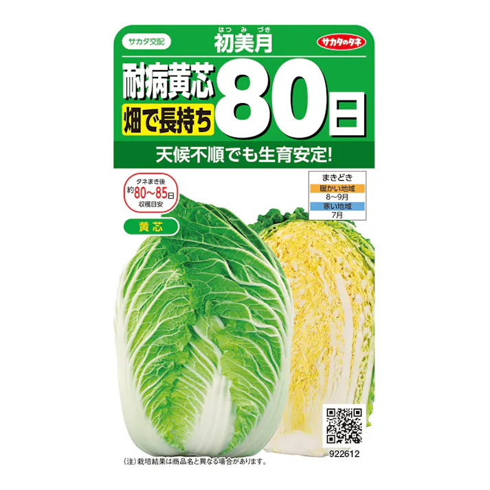 ハクサイ 耐寒性大玉耐病黄芯80日 初美月