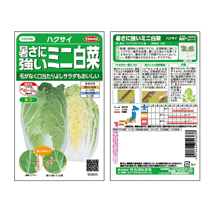 暑さに強いミニハクサイタイニーシュシュ