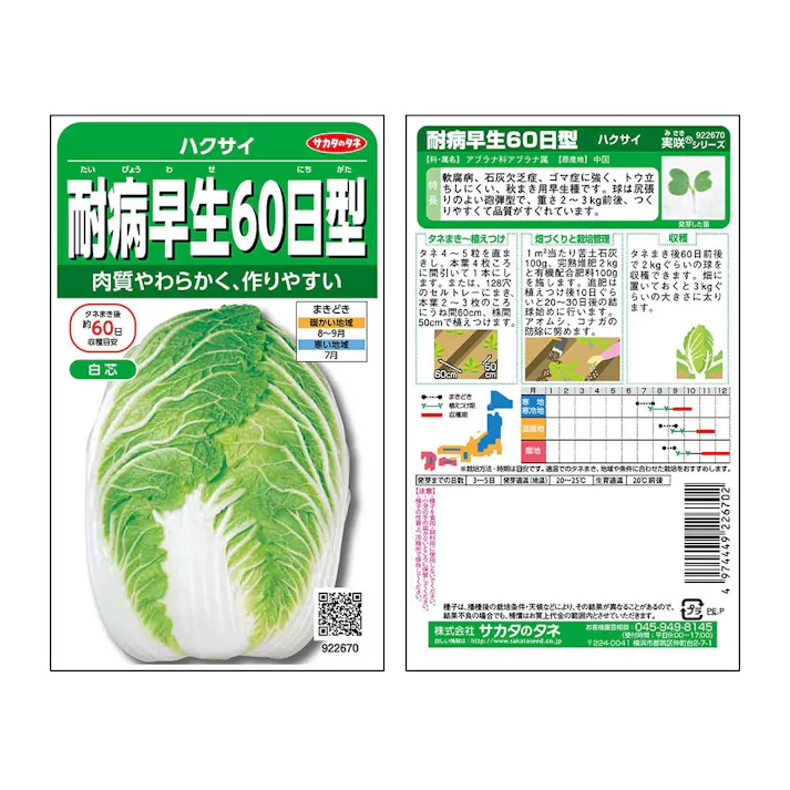 ハクサイ耐病早生 60日型