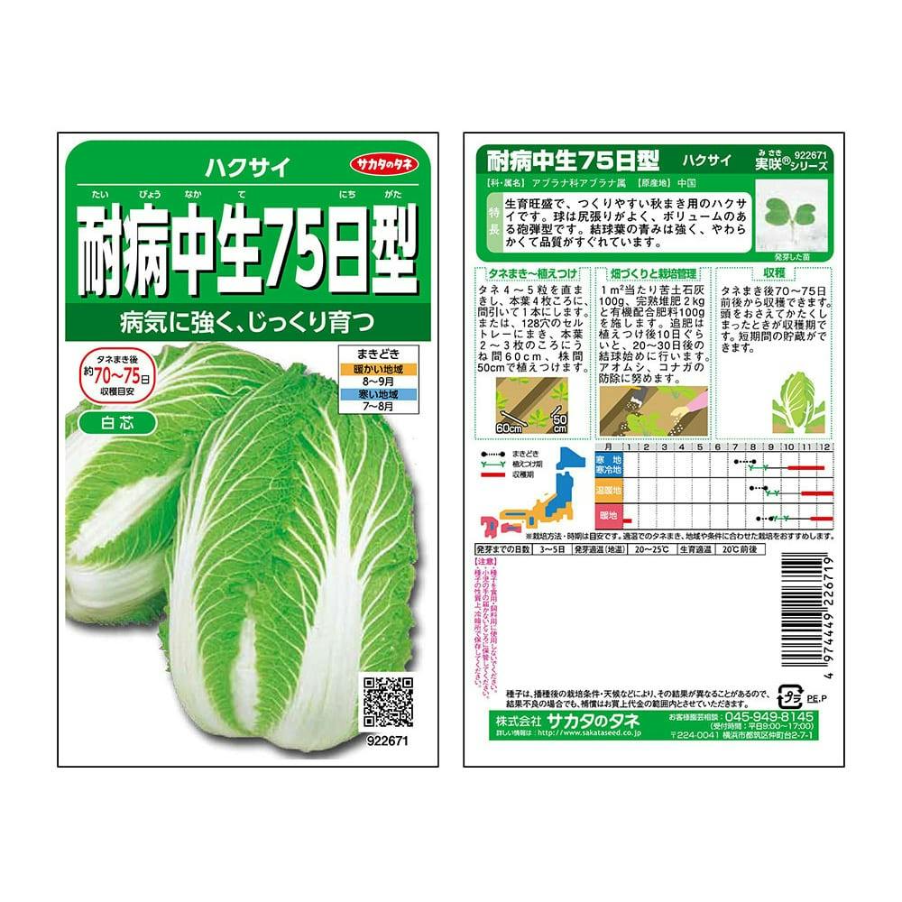 ハクサイ耐病中生 75日型