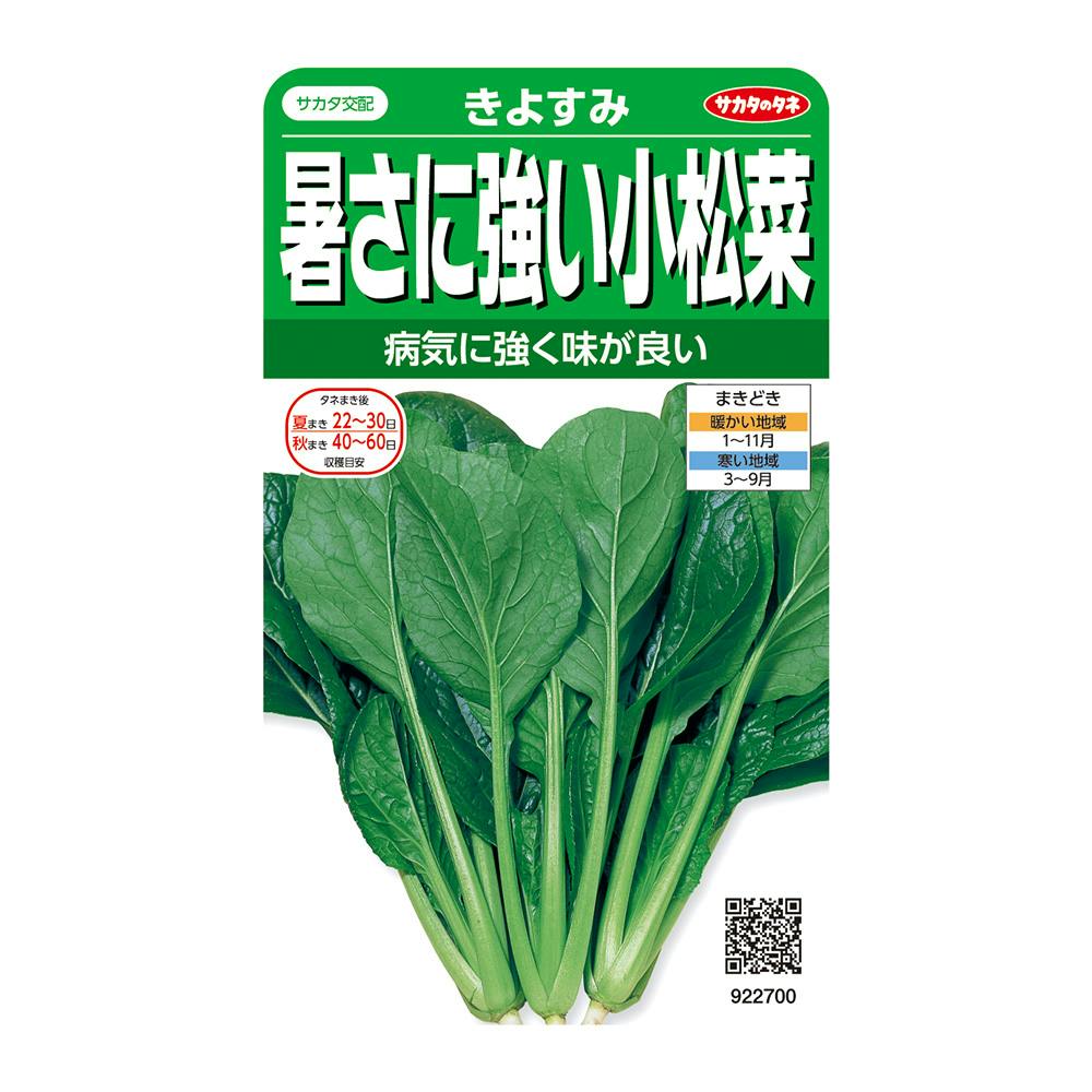 きよすみ コマツナ SA