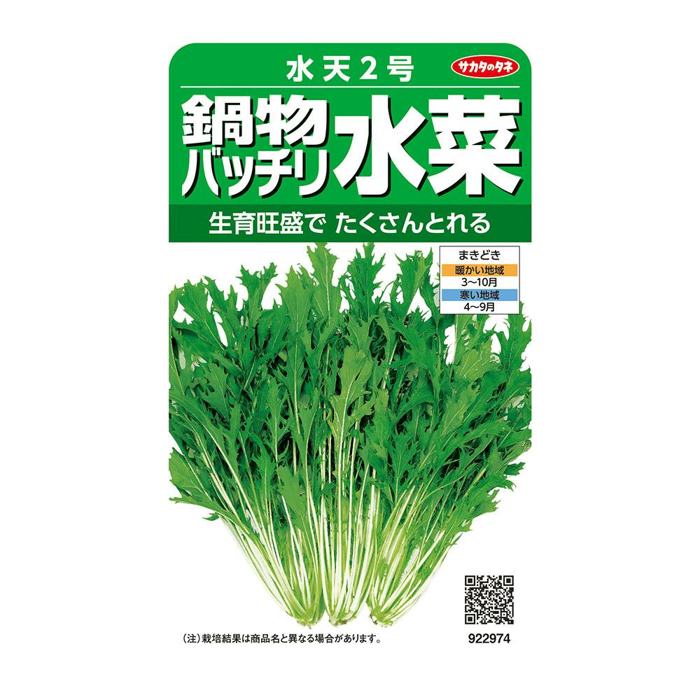 ミズナ 鍋物バッチリ水菜 水天 2号 | 花＆グリーン 通販