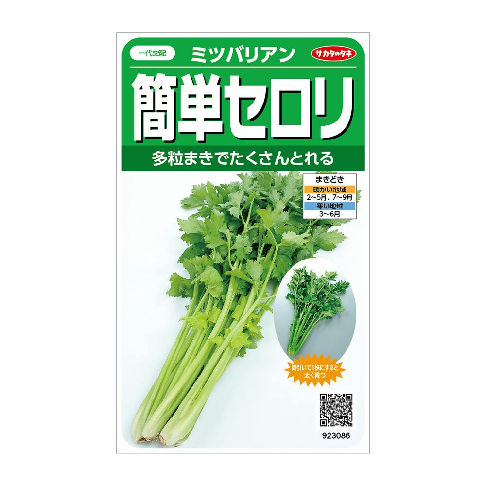 ★レタス コスレタス タケノコレタス | 花＆グリーン 通販 | ホームセンターの