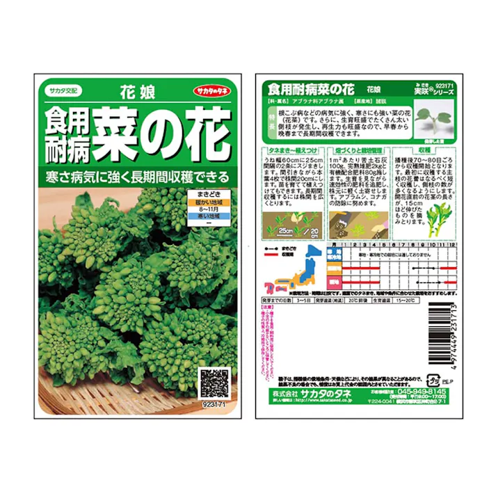 食用耐病菜の花花娘