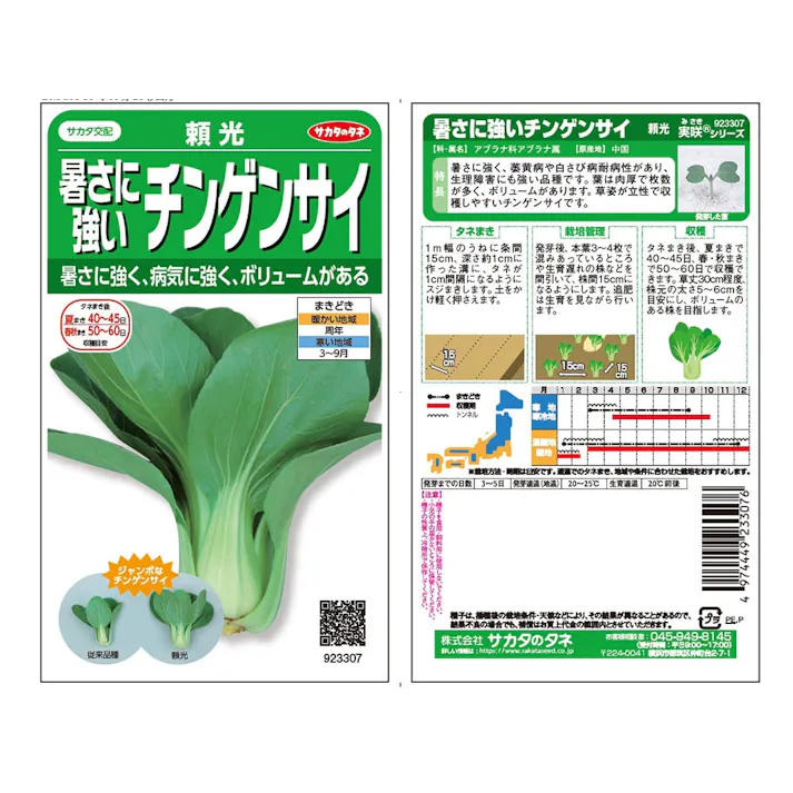 暑さに強いチンゲンサイ 頼光