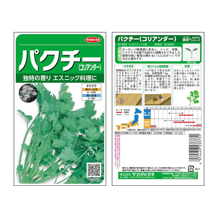 中国野菜ハーブコリアンダー