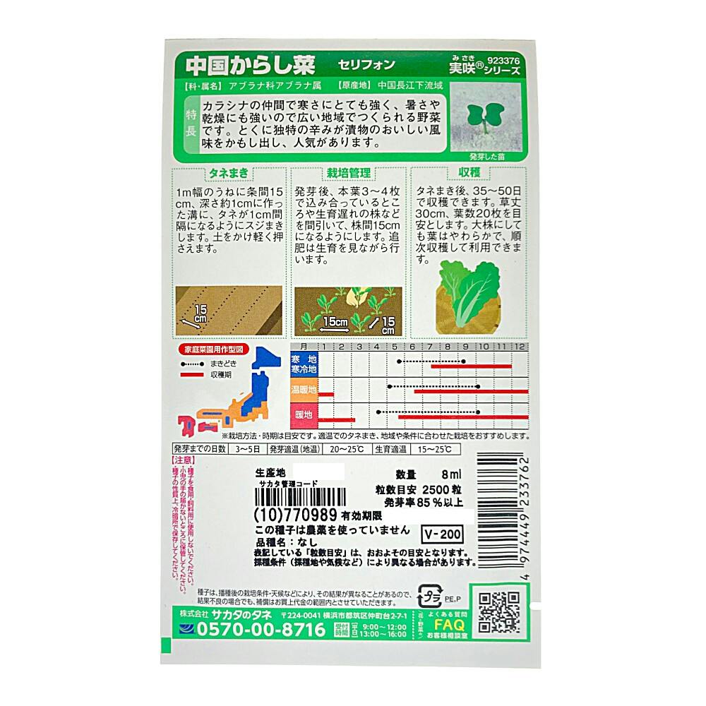 中国からし菜セリフォン(販売終了) | 花＆グリーン 通販