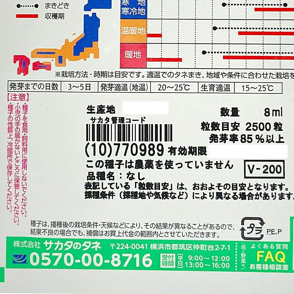 中国からし菜セリフォン(販売終了) | 花＆グリーン 通販