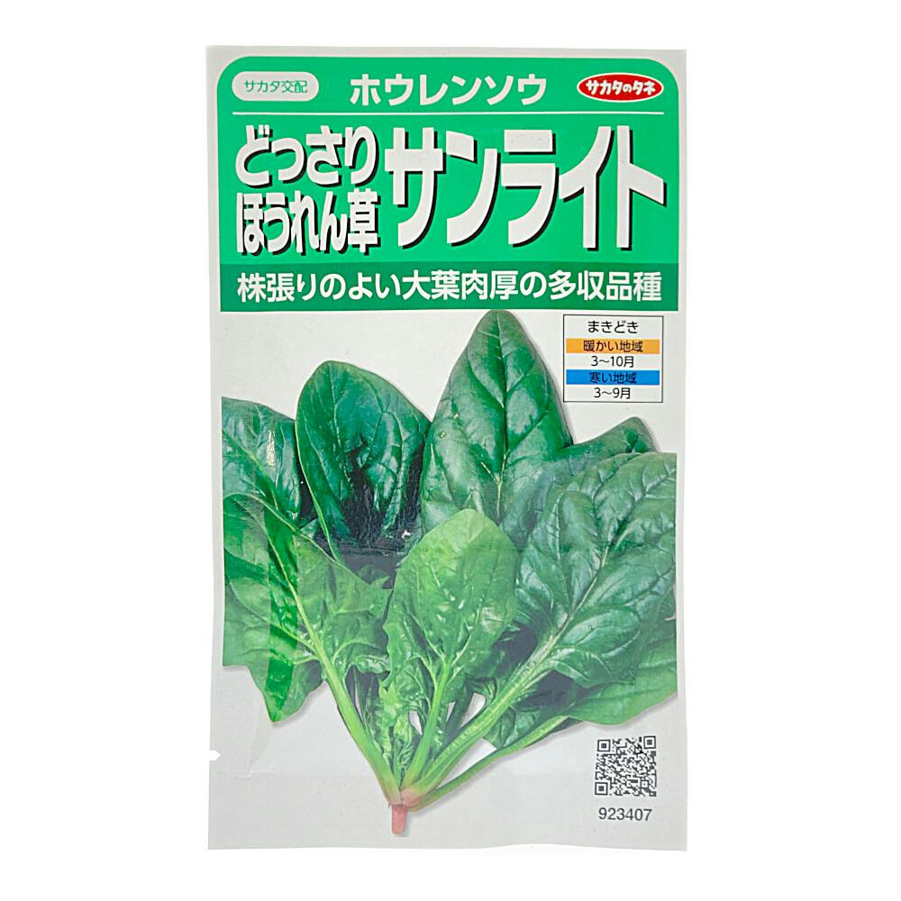 どっさりほうれん草 サンライト(販売終了) | 花＆グリーン 通販