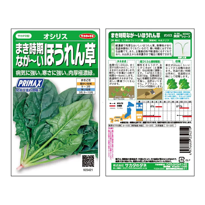 まき時期なが~いほうれん草オシリス