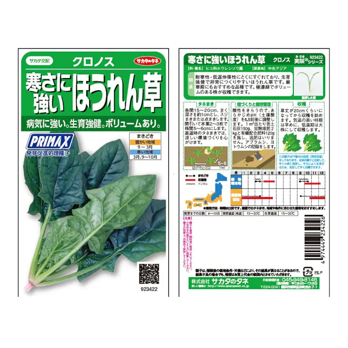 寒さに強いほうれん草クロノス