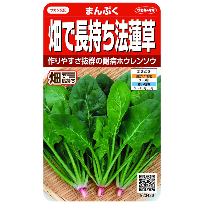 畑で長持ち法蓮草 まんぷく