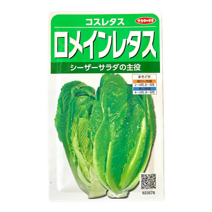 コスレタス タケノコレタス