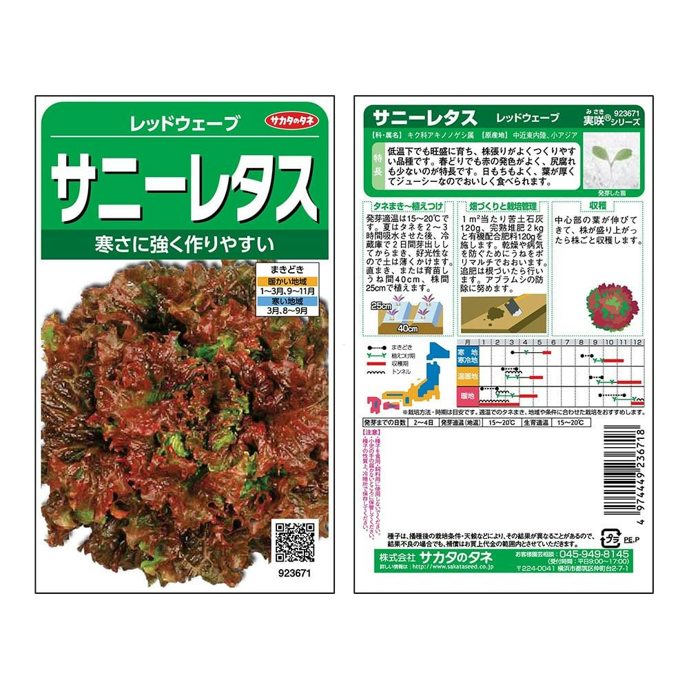 サニーレタス fit=scale-down,w=1200