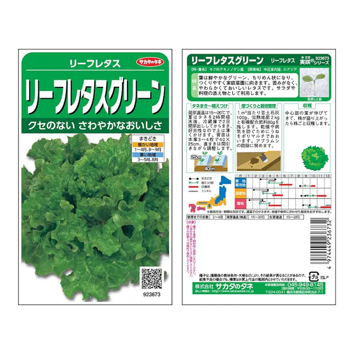 リーフレタスリーフレタスグリーン