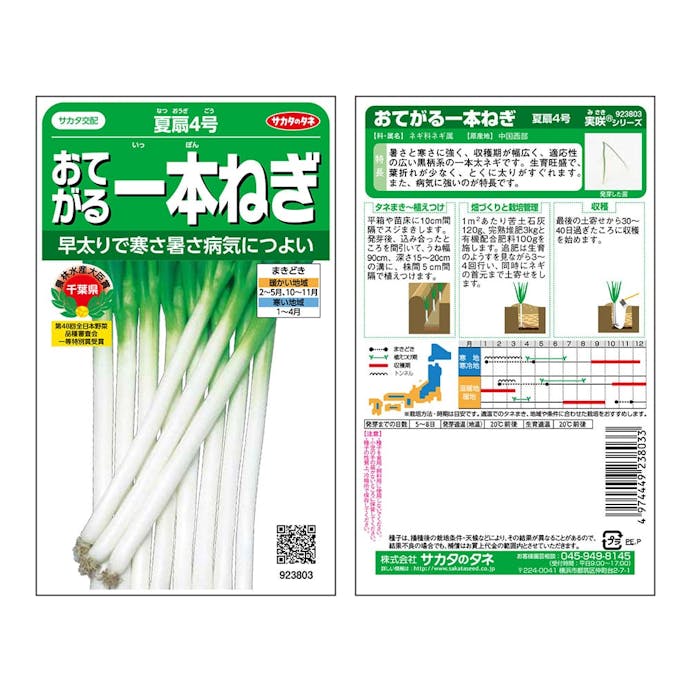 サカタのタネ おてがる一本ねぎ夏扇 4号