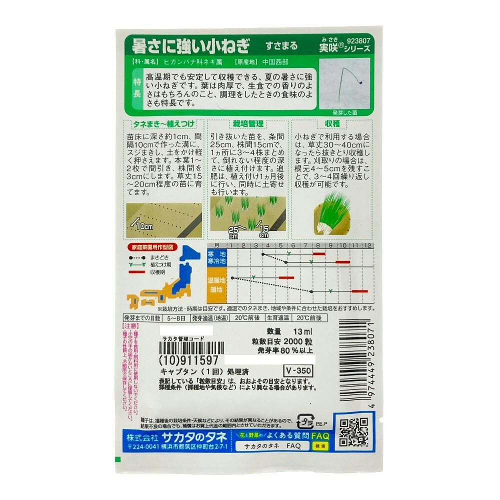 小ネギ 暑さに強い小ねぎ すさまる | 花＆グリーン 通販