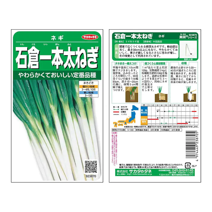 石倉一本太ネギ