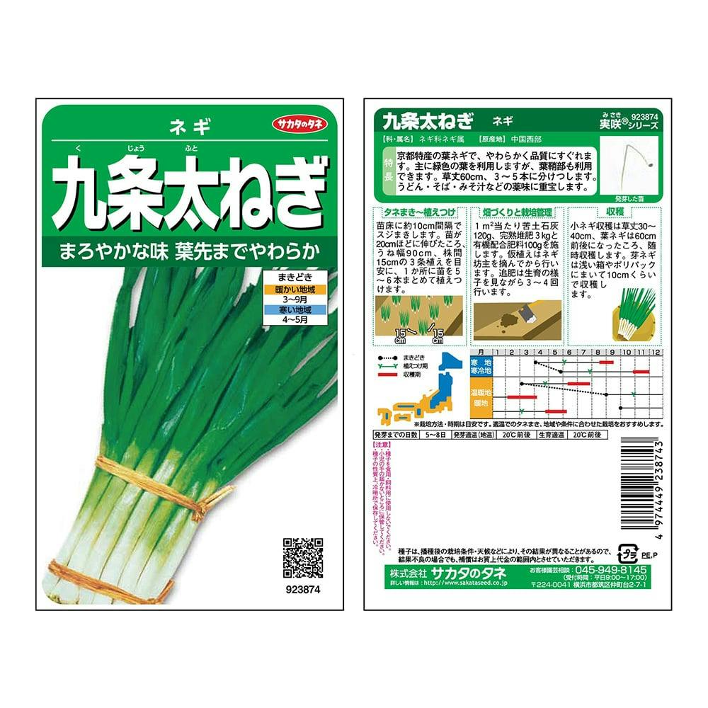 【ながねぎ】 TSX-025（ミニネギ）[ネギ] - e-種や｜国内最大級の野菜種・花種