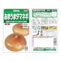 サカタのタネ 貝塚早生タマネギ(販売終了)