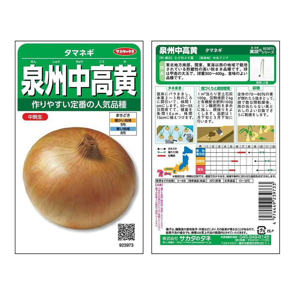 泉州中高黄タマネギ | 花＆グリーン 通販 | ホームセンターのカインズ