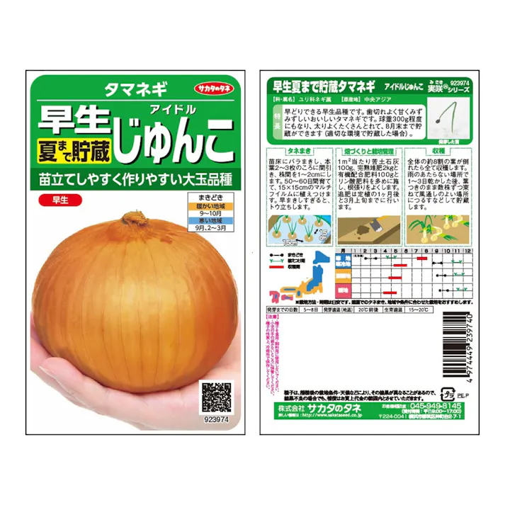 早生夏まで貯蔵タマネギアイドルじゅんこ