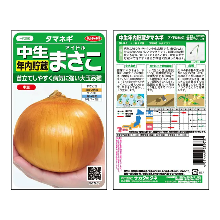 中生年内貯蔵タマネギアイドルまさこ