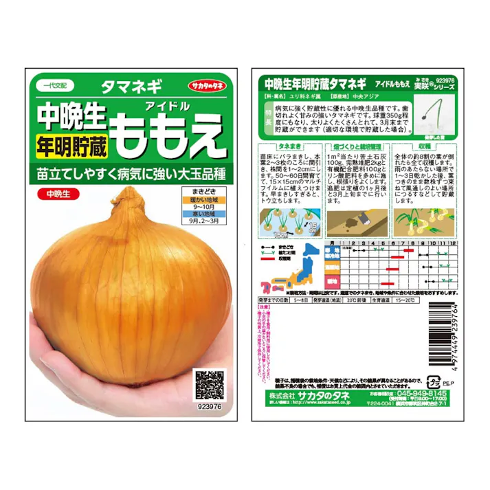 中晩生年明貯蔵タマネギアイドルももえ