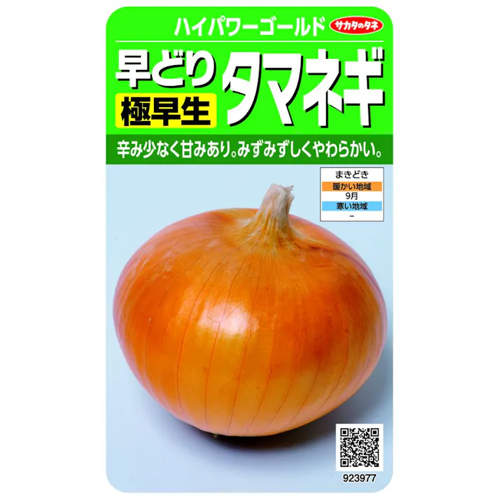 はやどり極早生タマネギ ハイパワーゴールド