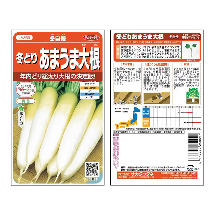 冬自慢 冬どり あまうま大根