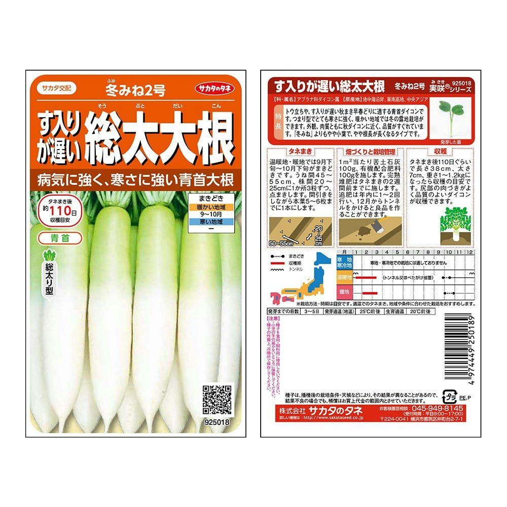 サカタのタネ す入りが遅い総太大根冬みね2号(販売終了) 花＆グリーン ホームセンター通販【カインズ】