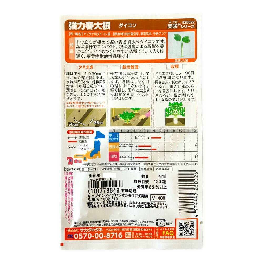 【一部予約！】 春どり青首総太大根(販売終了) 春自慢 | 通販 花＆グリーン 絵画