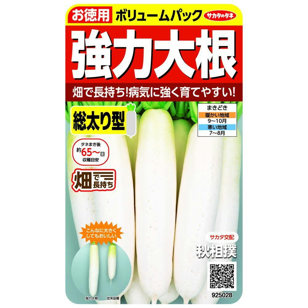 早どり葉大根(販売終了) | 花＆グリーン 通販 | ホームセンター