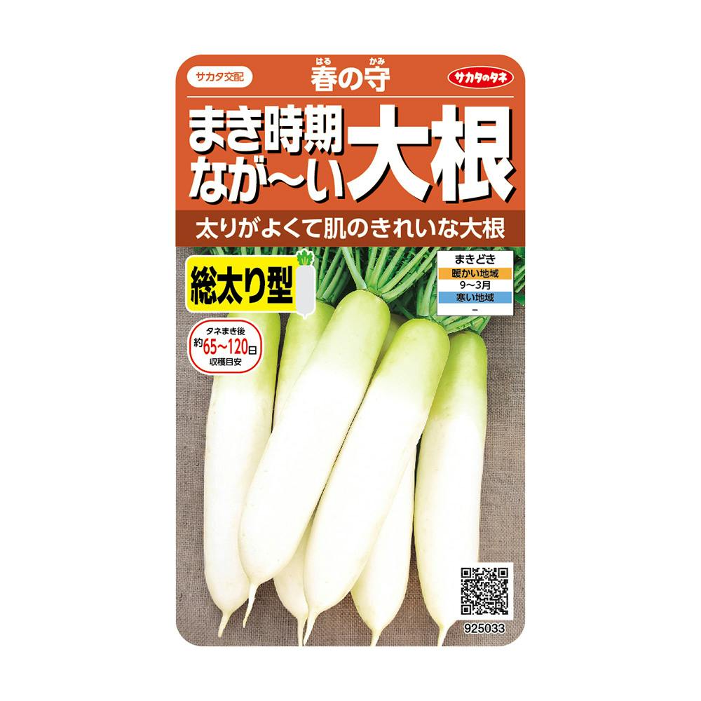 まき時期 ながーい大根 春の守