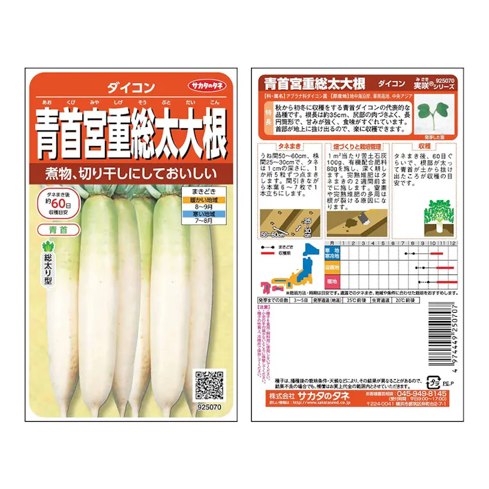 青首宮重総太ダイコン