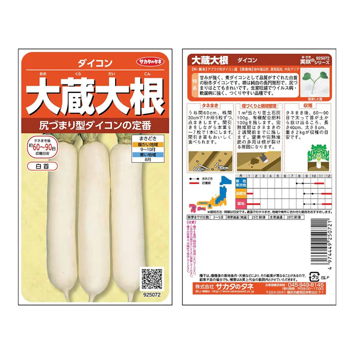 大蔵大根